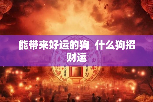 能带来好运的狗 什么狗招财运 能带来好运的狗 什么狗招财运
