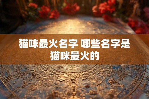 猫咪最火名字 哪些名字是猫咪最火的