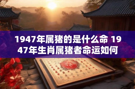 1947年属猪的是什么命 1947年生肖属猪者命运如何