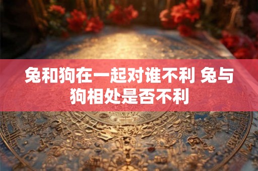 兔和狗在一起对谁不利 兔与狗相处是否不利