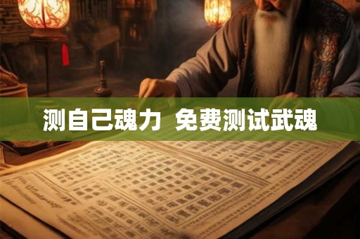 测自己魂力  免费测试武魂
