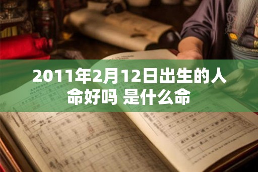 2011年2月12日出生的人命好吗 是什么命