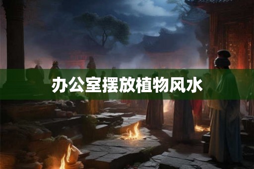 办公室摆放植物风水