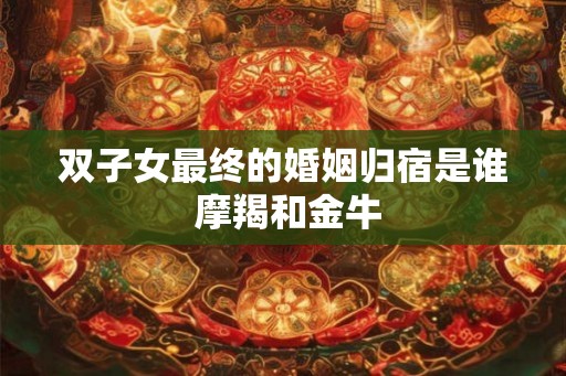 双子女最终的婚姻归宿是谁 摩羯和金牛