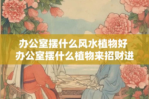 办公室摆什么风水植物好 办公室摆什么植物来招财进宝