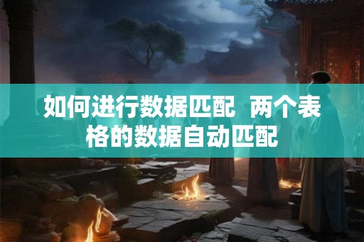 如何进行数据匹配  两个表格的数据自动匹配
