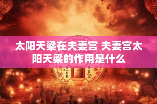 太阳天梁在夫妻宫 夫妻宫太阳天梁的作用是什么