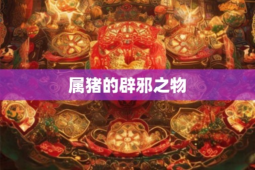 属猪的辟邪之物