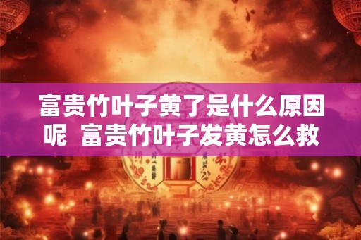 富贵竹叶子黄了是什么原因呢  富贵竹叶子发黄怎么救水养盆栽