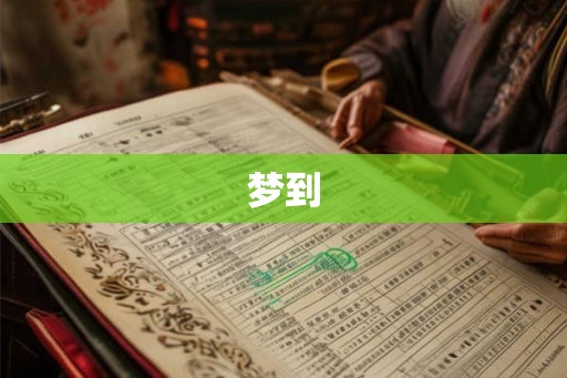 梦到
