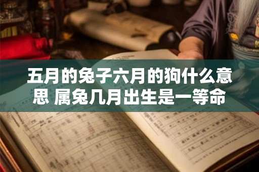 五月的兔子六月的狗什么意思 属兔几月出生是一等命