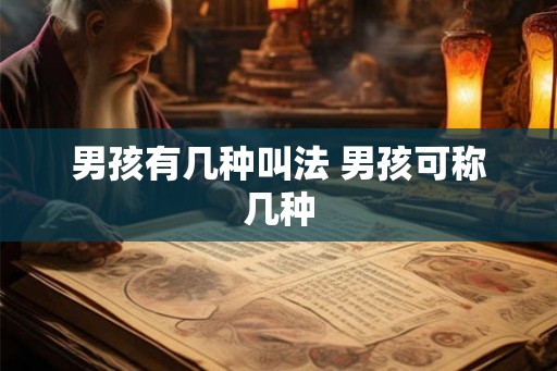 男孩有几种叫法 男孩可称几种