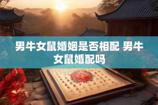 男牛女鼠婚姻是否相配 男牛女鼠婚配吗