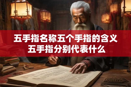 五手指名称五个手指的含义 五手指分别代表什么