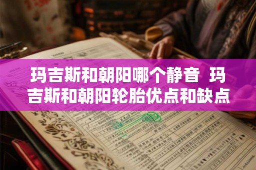 玛吉斯和朝阳哪个静音  玛吉斯和朝阳轮胎优点和缺点