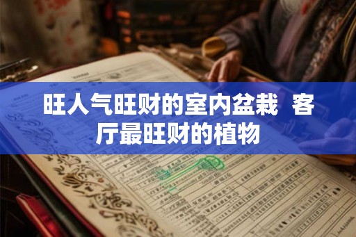 旺人气旺财的室内盆栽  客厅最旺财的植物