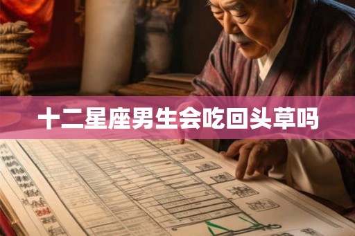 十二星座男生会吃回头草吗