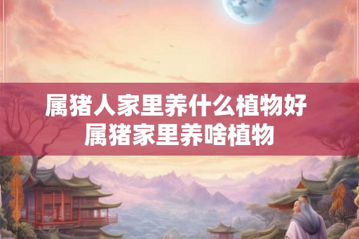 属猪人家里养什么植物好 属猪家里养啥植物