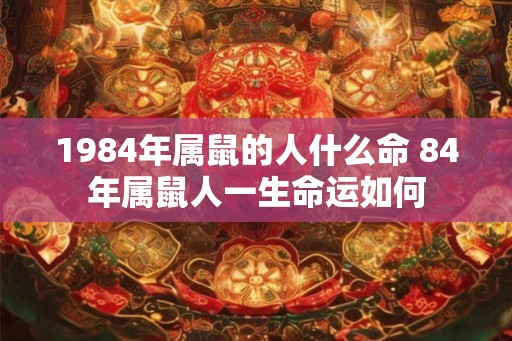 1984年属鼠的人什么命 84年属鼠人一生命运如何