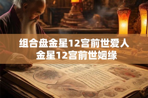 组合盘金星12宫前世爱人  金星12宫前世姻缘