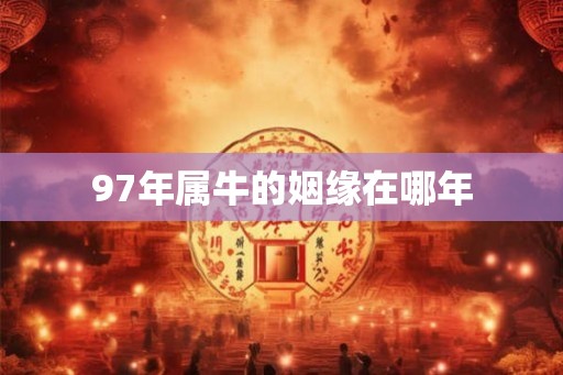 97年属牛的姻缘在哪年