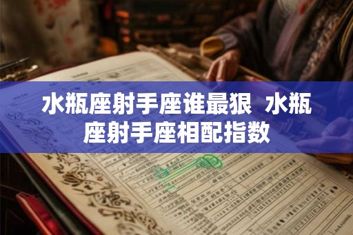 水瓶座射手座谁最狠  水瓶座射手座相配指数