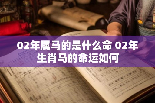 02年属马的是什么命 02年生肖马的命运如何