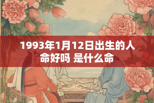 1993年1月12日出生的人命好吗 是什么命
