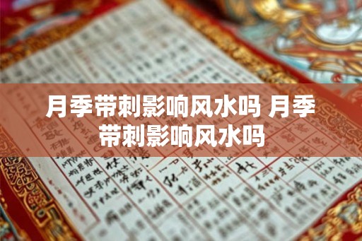 月季带刺影响风水吗 月季带刺影响风水吗