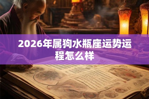 2026年属狗水瓶座运势运程怎么样