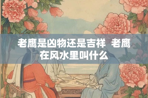 老鹰是凶物还是吉祥  老鹰在风水里叫什么