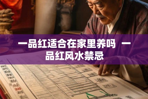 一品红适合在家里养吗 一品红风水禁忌 一品红适合在家里养吗 一品红风水禁忌