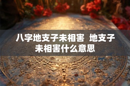 八字地支子未相害 地支子未相害什么意思 八字地支子未相害 地支子未相害什么意思
