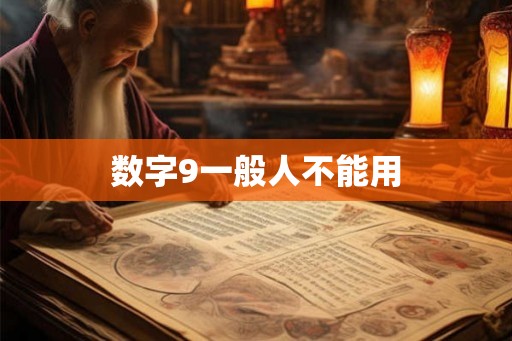 数字9一般人不能用