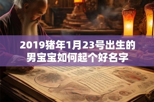 2019猪年1月23号出生的男宝宝如何起个好名字