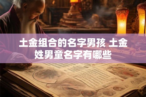 土金组合的名字男孩 土金姓男童名字有哪些 土金组合的名字男孩 土金姓男童名字有哪些