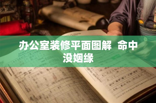 办公室装修平面图解  命中没姻缘