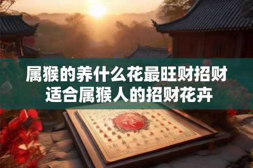 属猴的养什么花最旺财招财 适合属猴人的招财花卉