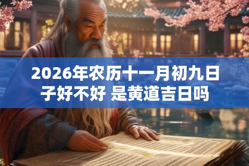 2026年农历十一月初九日子好不好 是黄道吉日吗
