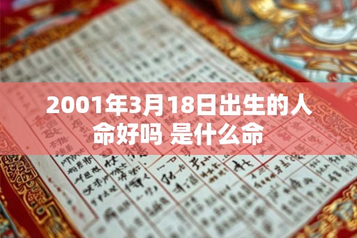 2001年3月18日出生的人命好吗 是什么命