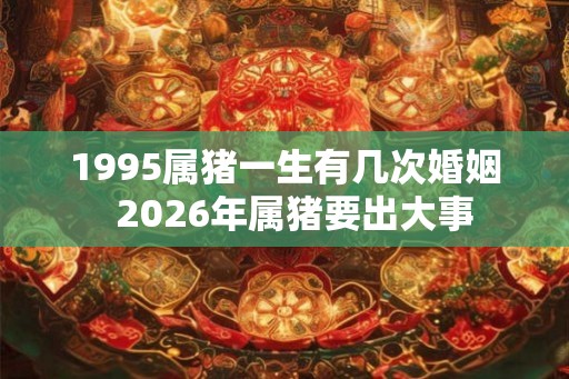 1995属猪一生有几次婚姻  2026年属猪要出大事