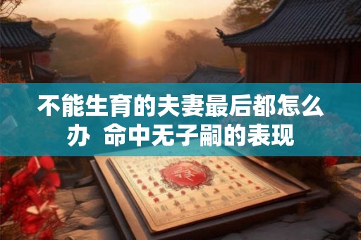 不能生育的夫妻最后都怎么办  命中无子嗣的表现