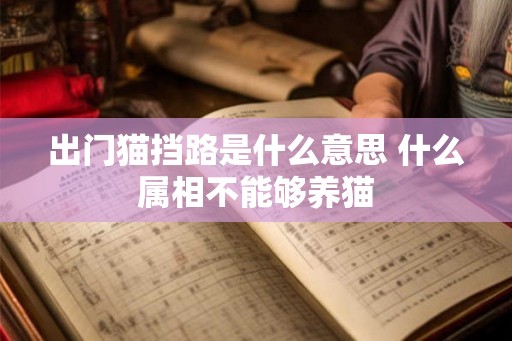 出门猫挡路是什么意思 什么属相不能够养猫