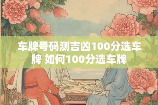 车牌号码测吉凶100分选车牌 如何100分选车牌