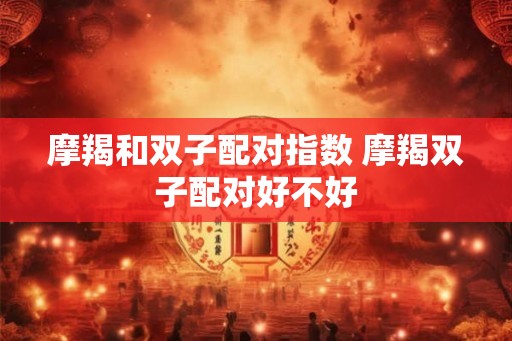 摩羯和双子配对指数 摩羯双子配对好不好
