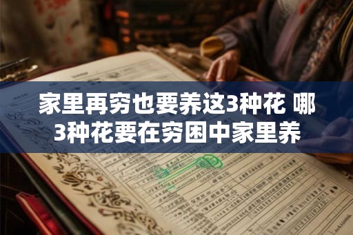 家里再穷也要养这3种花 哪3种花要在穷困中家里养