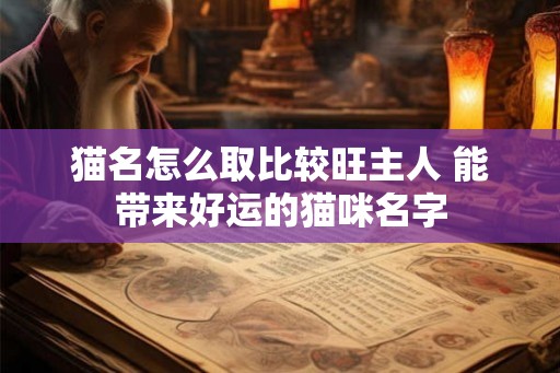 猫名怎么取比较旺主人 能带来好运的猫咪名字