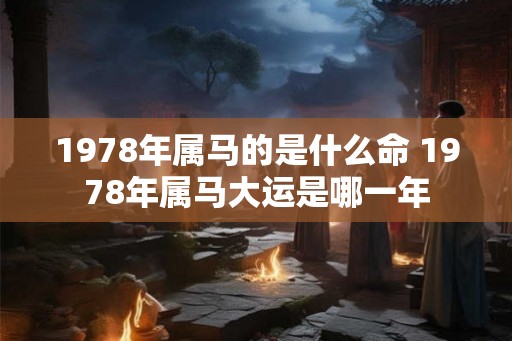 1978年属马的是什么命 1978年属马大运是哪一年