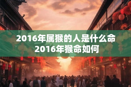 2016年属猴的人是什么命 2016年猴命如何