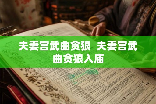 夫妻宫武曲贪狼  夫妻宫武曲贪狼入庙